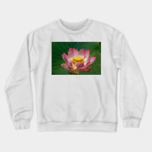 Sacred Lotus Crewneck Sweatshirt